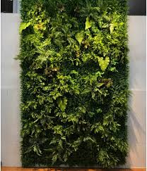 Pared de Césped Artificial SCHAAN - Paneles de Follaje 39"x39